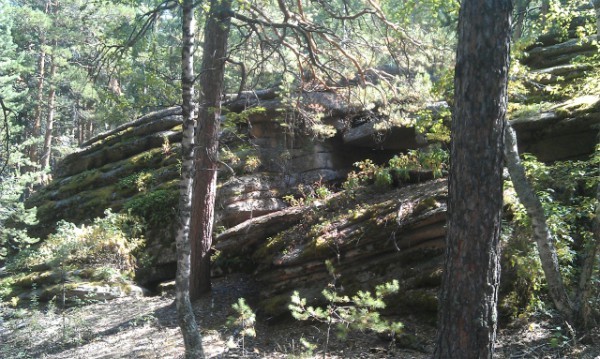IMAG0281