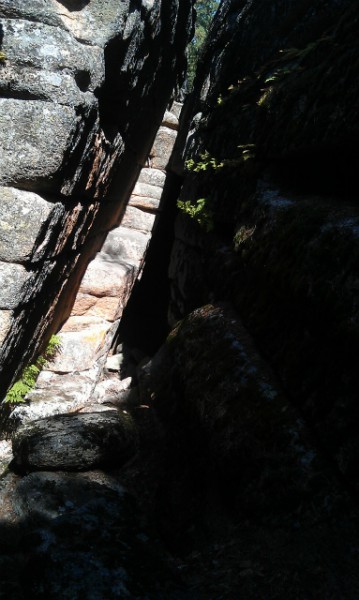 IMAG0282