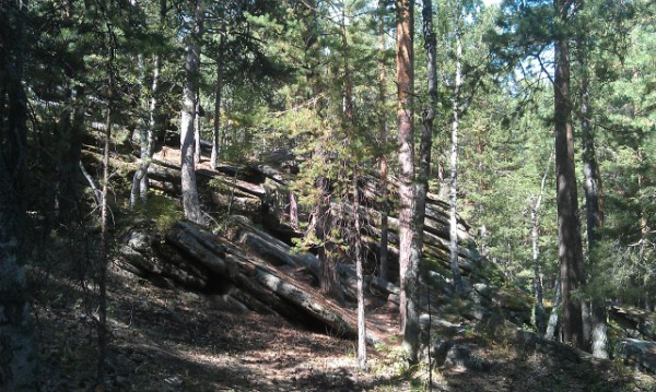 IMAG0285