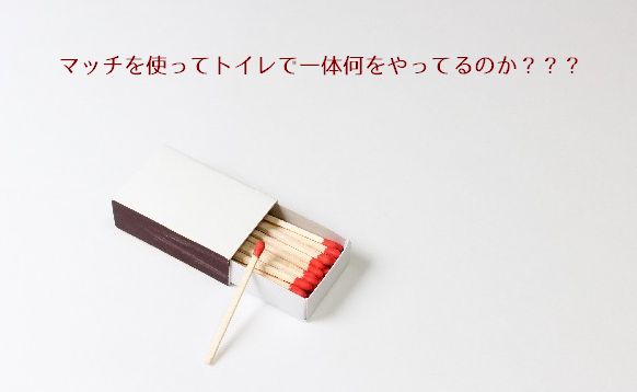 Read more about the article ロシア人家庭のトイレでよく見かけるマッチ箱の意外すぎる正体