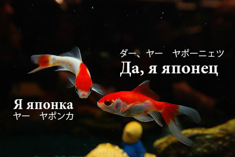 japanese
