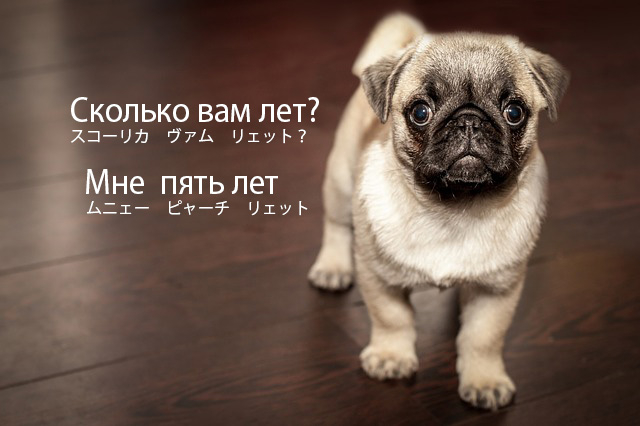 Сколько вам лет
